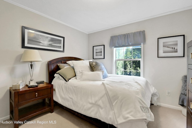 8 Orlich Rd, Red Hook, NY 12571 - bedroom featuring carpet flooring, ornamental molding, and baseboards