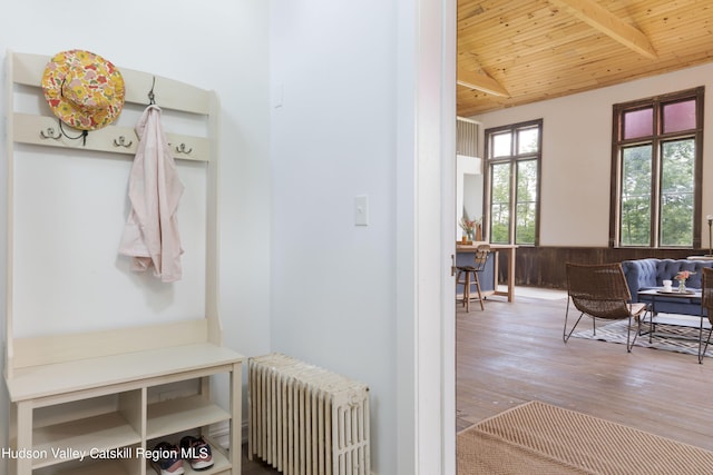 150 Blenheim Hill Rd, Jefferson, NY 12093 - mudroom featuring radiator heating unit, wooden ceiling, and wood finished floors