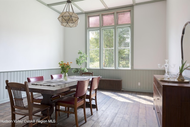 150 Blenheim Hill Rd, Jefferson, NY 12093 - dining space with radiator, wainscoting, and light wood-style floors