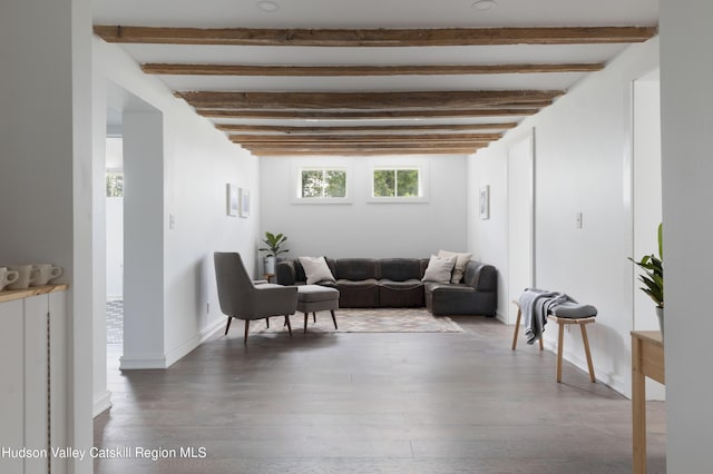 150 Blenheim Hill Rd, Jefferson, NY 12093 - living room featuring beam ceiling and wood finished floors