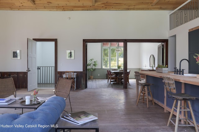 150 Blenheim Hill Rd, Jefferson, NY 12093 - living room with a high ceiling, a wainscoted wall, wood finished floors, and a wood ceiling with exposed beams