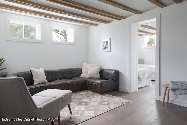 150 Blenheim Hill Rd, Jefferson, NY 12093 - living room with plenty of natural light, beamed ceiling, and wood-type flooring