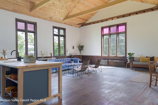 150 Blenheim Hill Rd, Jefferson, NY 12093 - kitchen with wood-type flooring, radiator heating unit, wood counters, wooden ceiling, and an island with sink