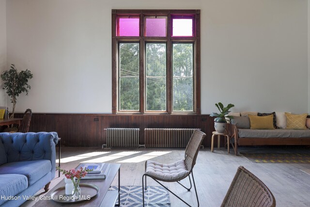 150 Blenheim Hill Rd, Jefferson, NY 12093 - living room with radiator, plenty of natural light, wood finished floors, wainscoting, and wooden walls