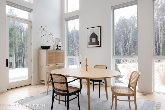 dining room featuring light wood-type flooring and plenty of natural light