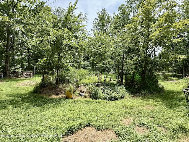 546 Berme Rd, High Falls, NY 12440 - photo 4