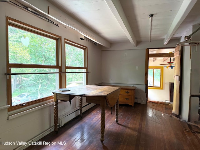 546 Berme Rd, High Falls, NY 12440 - photo 24