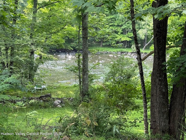 546 Berme Rd, High Falls, NY 12440 - photo 2