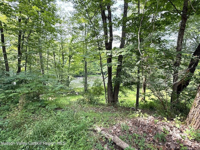 546 Berme Rd, High Falls, NY 12440 - photo 42