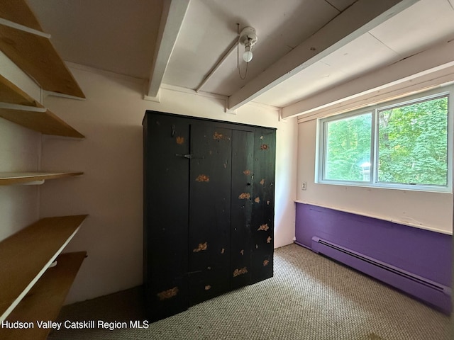 546 Berme Rd, High Falls, NY 12440 - photo 28