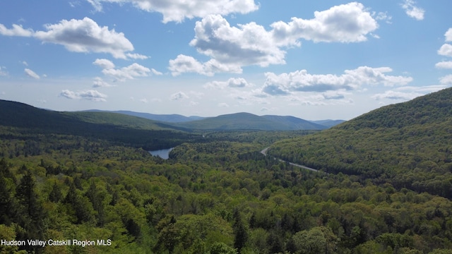 0 High Peak, Windham, NY 12496