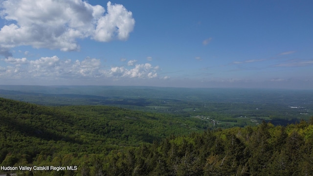 0 High Peak, Windham, NY 12496