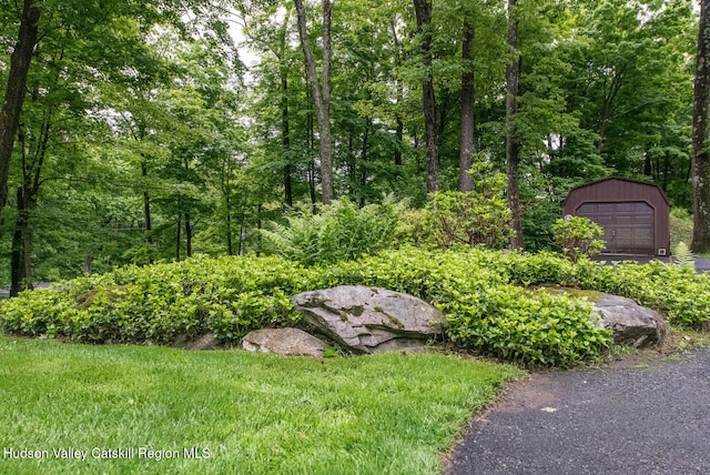 1206 Hollow Rd, Clinton, NY 12514 - view of yard featuring an outdoor structure, a detached garage, and a wooded view