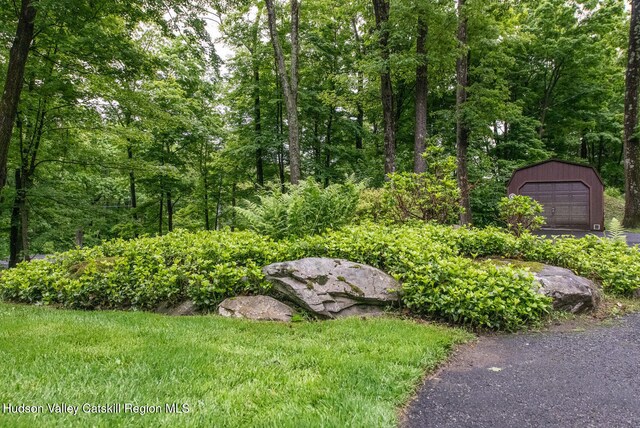 1206 Hollow Rd, Clinton, NY 12514 - photo 29