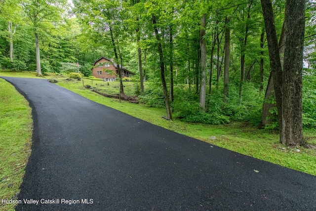 1206 Hollow Rd, Clinton, NY 12514 - view of home's community with a forest view