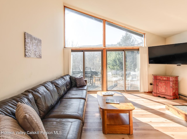 living room with lofted ceiling and hardwood / wood-style flooring