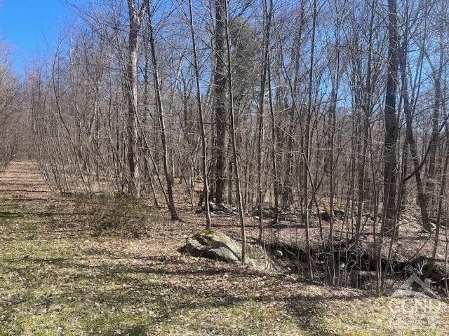 0 Amys Ln, Austerlitz, NY 12165