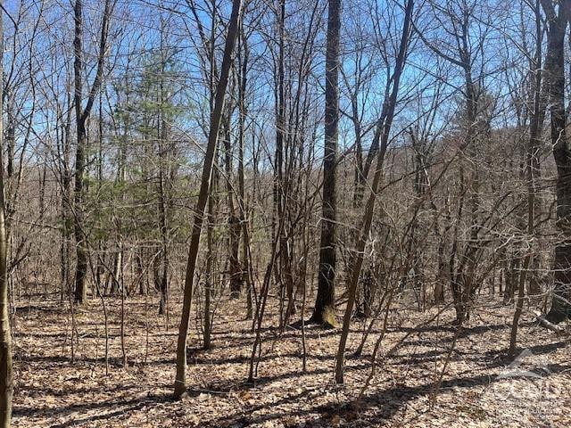 0 Amys Ln, Austerlitz, NY 12165