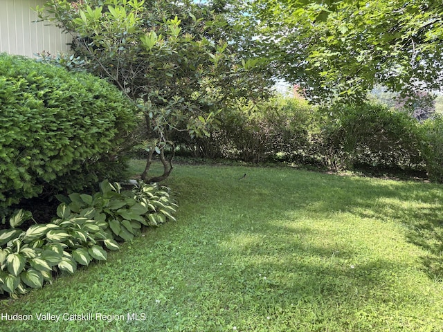 217 Evergreen Ln, Hurley, NY 12443 - photo 22