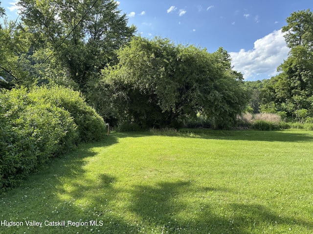 217 Evergreen Ln, Hurley, NY 12443 - photo 7