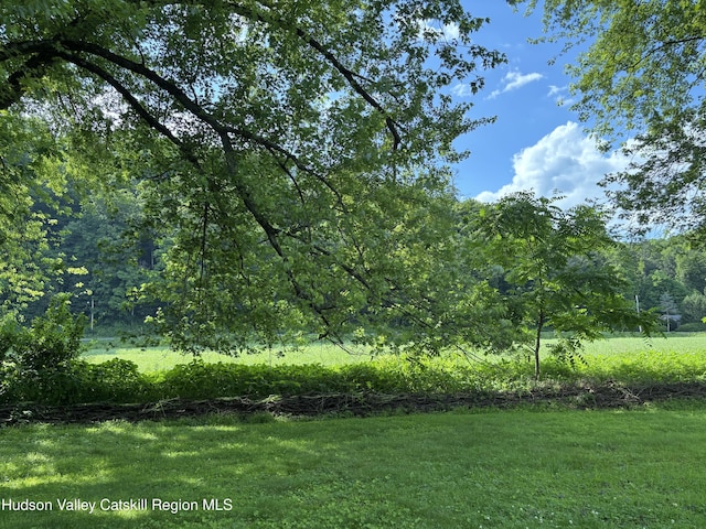 217 Evergreen Ln, Hurley, NY 12443 - photo 4