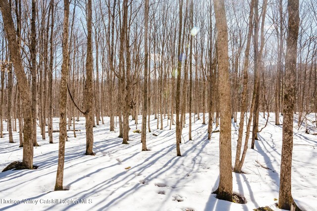 TBD Strong Rd, Cornwallville, NY 12418