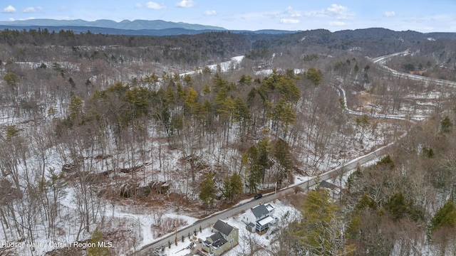 snowy aerial view featuring a mountain view