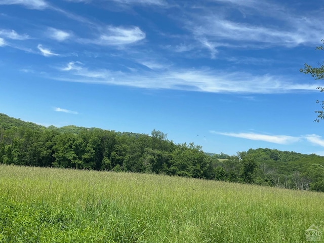 0 Perrys Corners Rd, Amenia, NY 12501