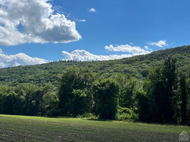 0 Perrys Corners Rd, Amenia, NY 12501