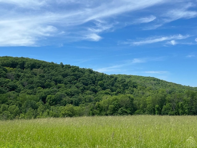 0 Perrys Corners Rd, Amenia, NY 12501