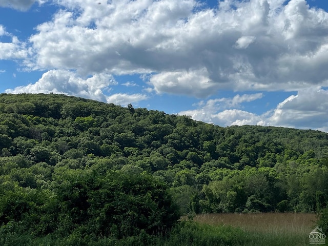 0 Perrys Corners Rd, Amenia, NY 12501