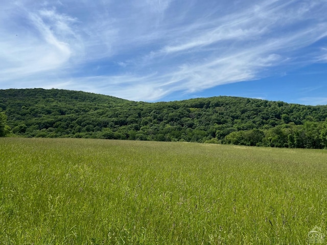 0 Perrys Corners Rd, Amenia, NY 12501