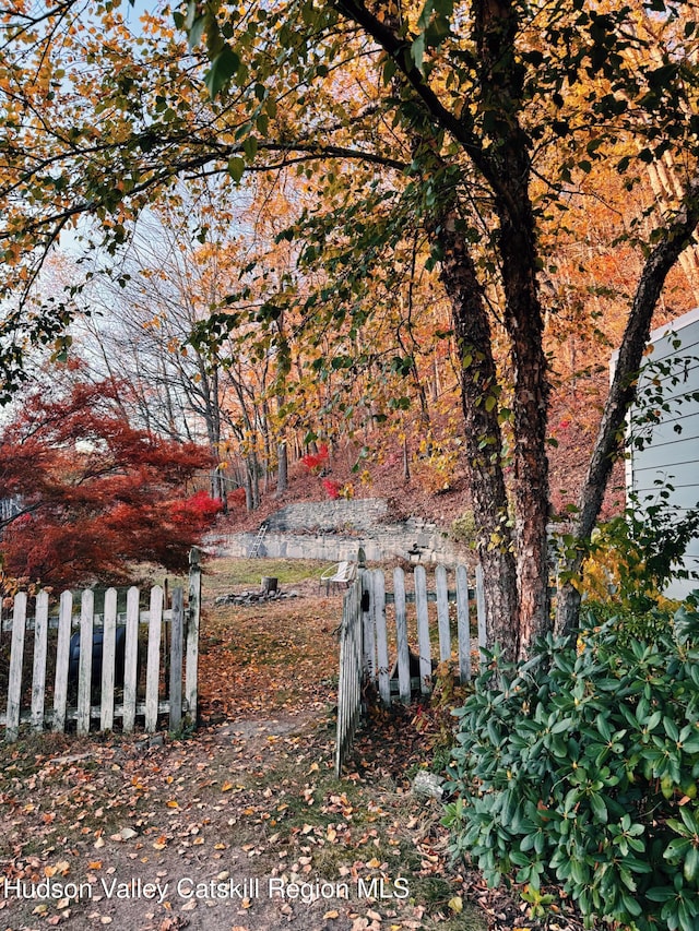 view of yard with fence