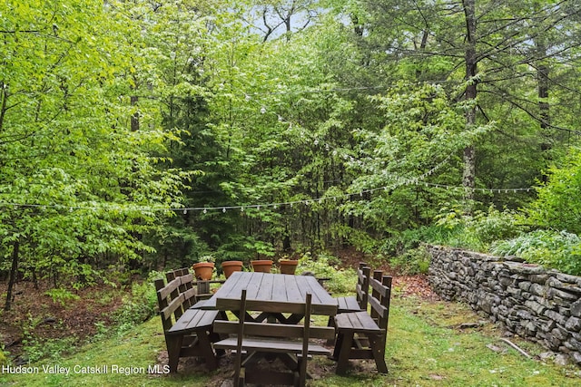425 N Lake Rd, Tannersville, NY 12485 - photo 35