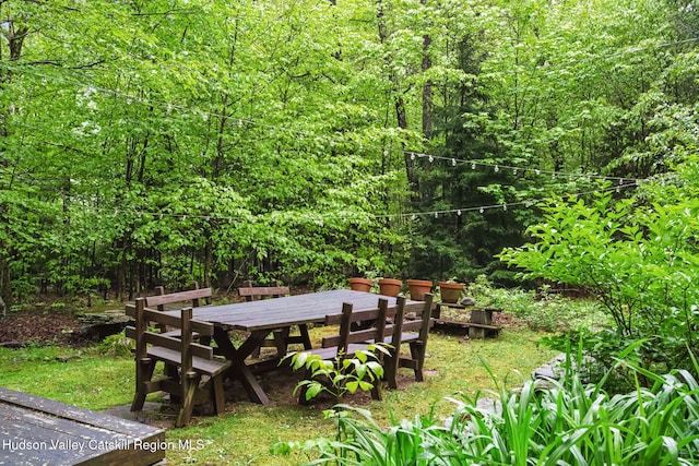 425 N Lake Rd, Tannersville, NY 12485 - photo 38