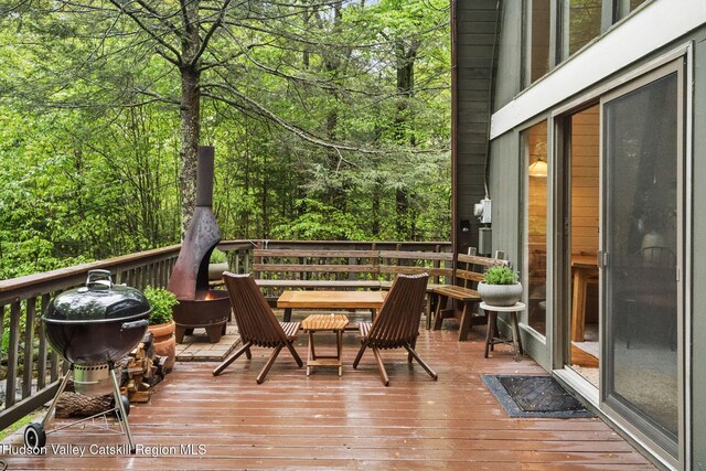 425 N Lake Rd, Tannersville, NY 12485 - photo 32