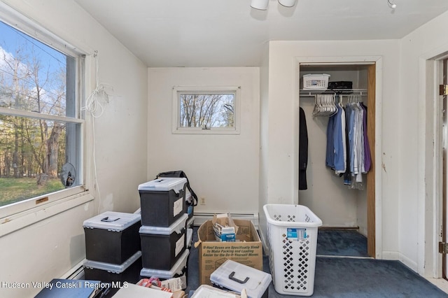 interior space featuring carpet flooring, multiple windows, and a closet