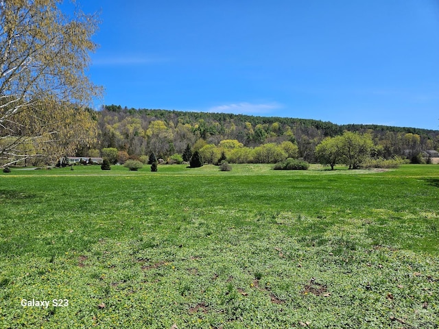 80 Rte 7, Prattsville, NY 12468 - photo 14
