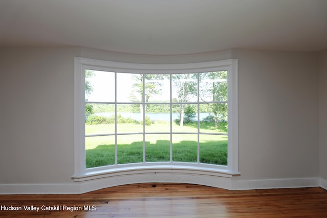 details with baseboards and wood finished floors