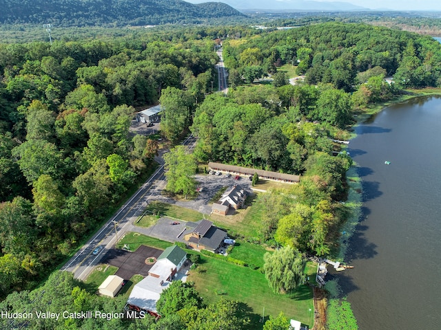 birds eye view of property with a view of trees and a water view