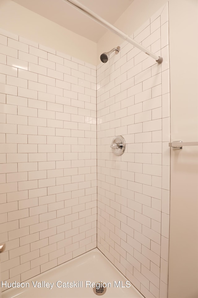 full bathroom featuring a shower