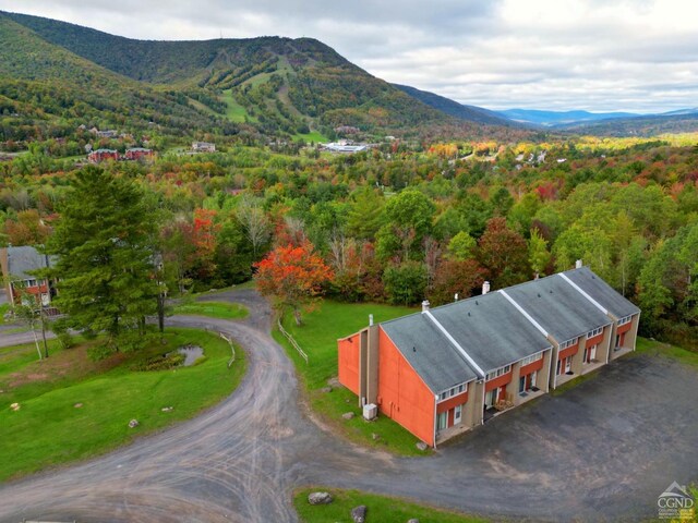 81 Scribner Hollow Rd Unit D 2, Hunter, NY 12442 - photo 3