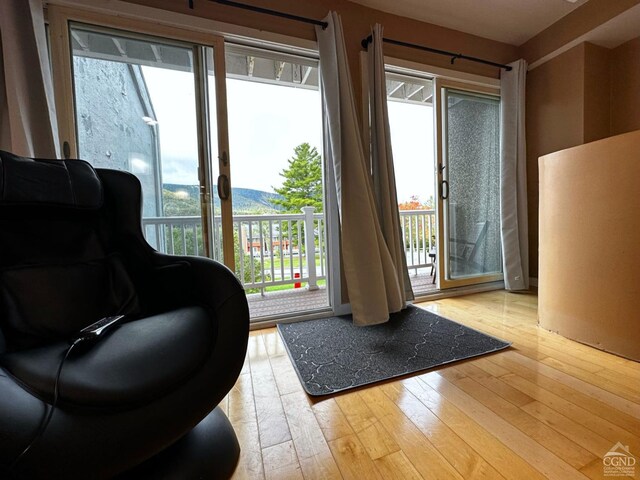 81 Scribner Hollow Rd Unit D 2, Hunter, NY 12442 - photo 7