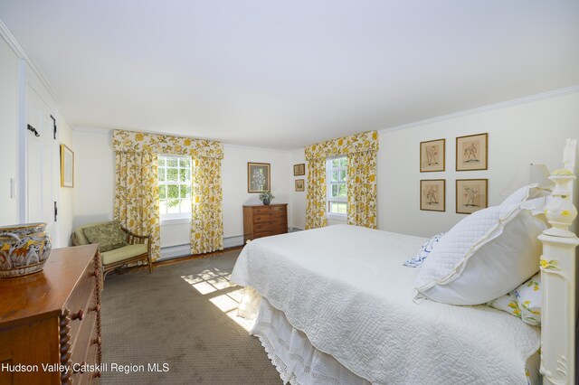 137 Red Mills Rd, Wallkill, NY 12589 - photo 13