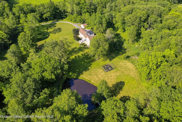 137 Red Mills Rd, Wallkill, NY 12589 - photo 32
