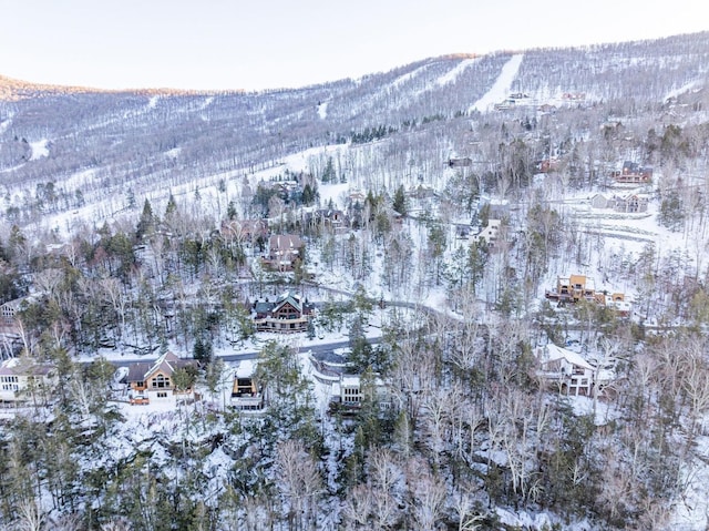 snowy aerial view featuring a mountain view