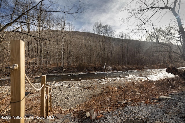 view of local wilderness