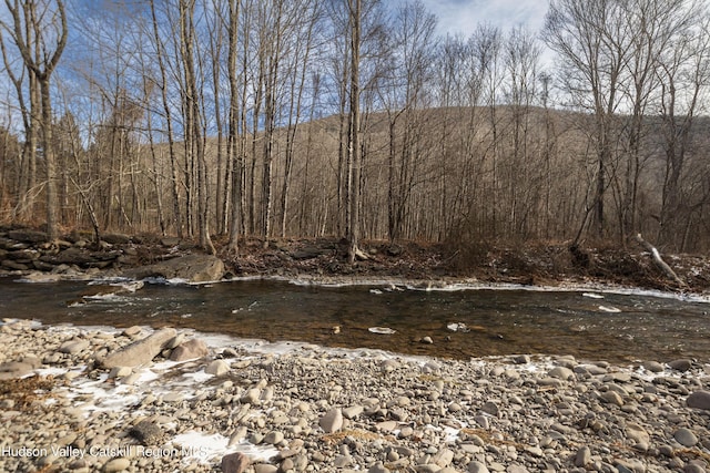 view of local wilderness