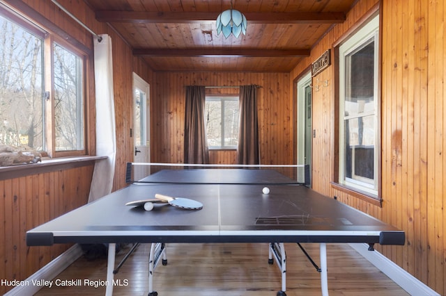 recreation room with beamed ceiling, a wealth of natural light, and wood walls