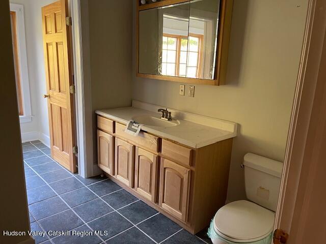 1563 Tower Mountain Rd, Stamford, NY 12167 - photo 11